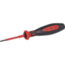 Schraubenzieher Torx T10×60mm