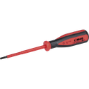 Schraubenzieher Torx T20×100mm