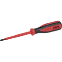 Schraubenzieher Torx T25×100mm