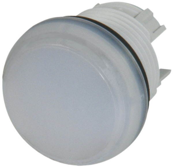 Kopf ETN z.Signallampe 29,5mm