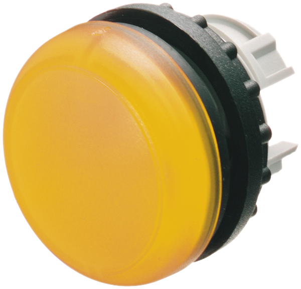 Kopf ETN z.Signallampe 29,5mm