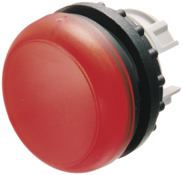 Kopf ETN z.Signallampe 29,5mm