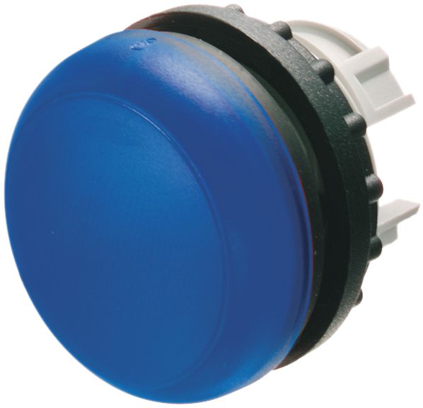 Kopf ETN z.Signallampe 29,5mm