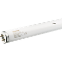 Fluoreszenzlampe Sylvania