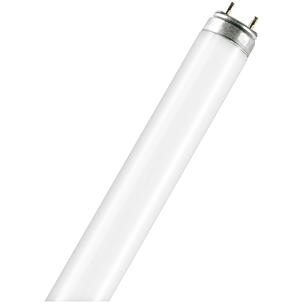 Fluoreszenzröhre Osram L 36W/