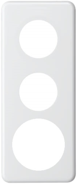 Abdeckplatte 3×1 2×43+58mm