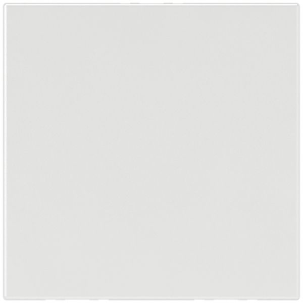 Blindabdeckung MOS ws 2 Module