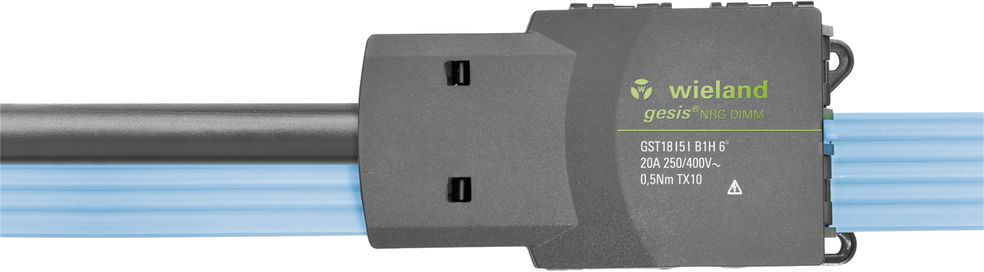 Einspeisung Wieland gesis NRG