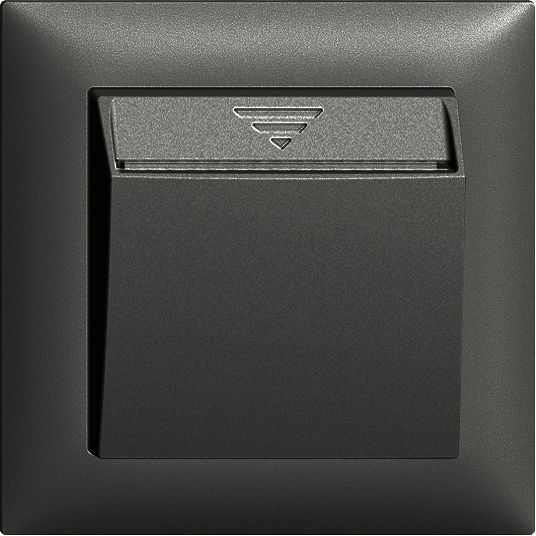 UP-Schalter Hotelcard 250VAC