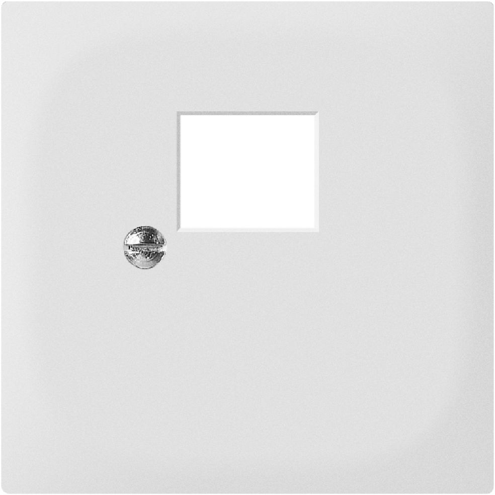Frontrahmen SIDUS z.RJ45 ws