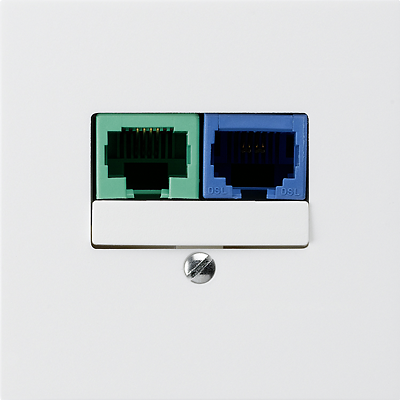 UP-Dose DSL 2×RJ45 ws
