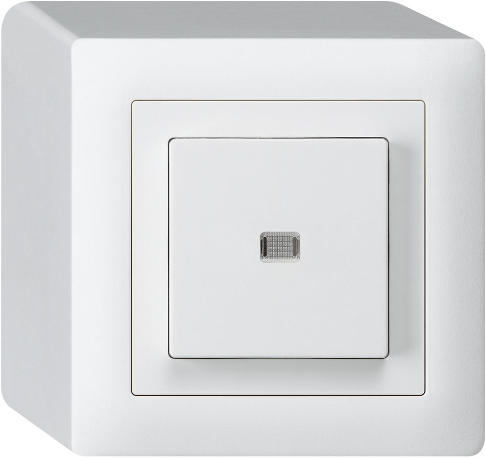 AP-Leuchttaster KAL AR/1L ws