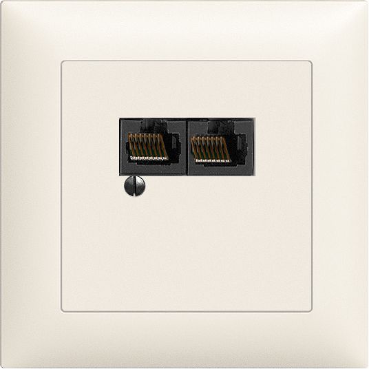 UP-Dose 2×RJ45/u 4P getr.Edue