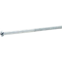 RK-Holzschraube 3,9×100mm