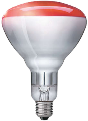 IR-Lampe E27 250W 240V rt