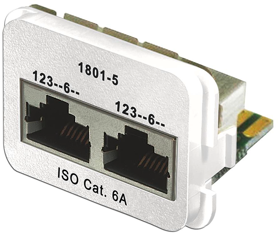 Adapter 2×RJ45 ISO Kat.6A rws