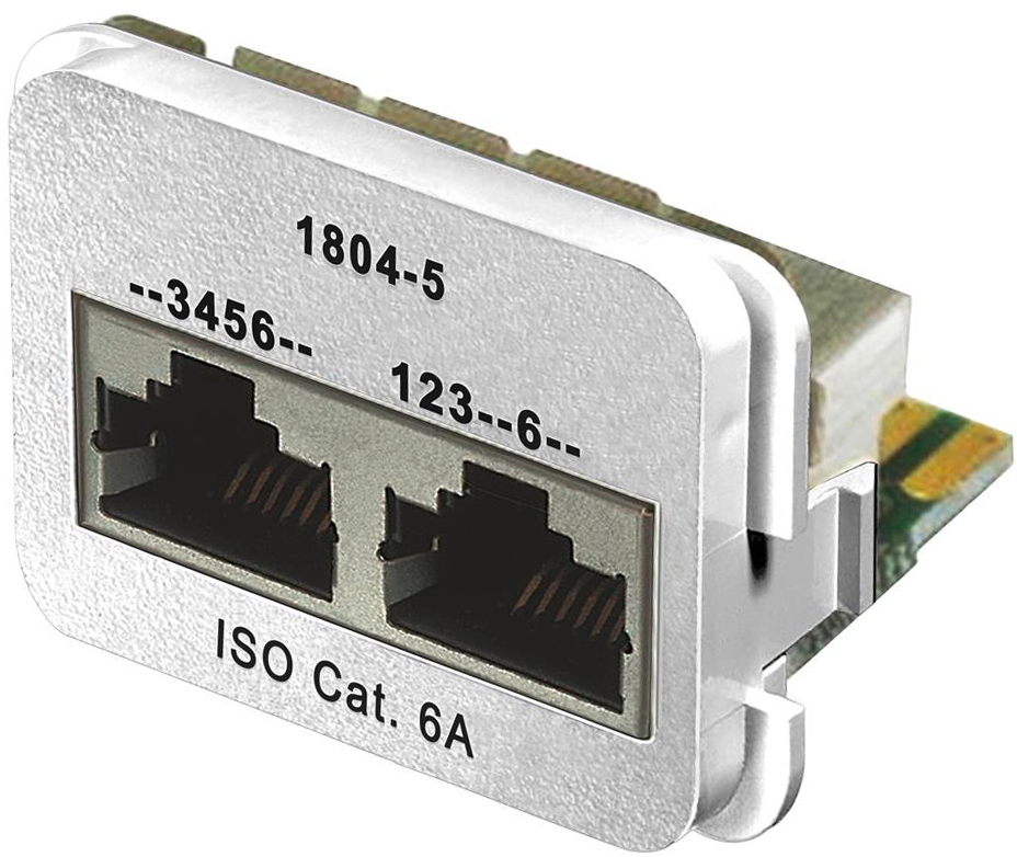 Adapter 2×RJ45 ISO Kat.6A rws