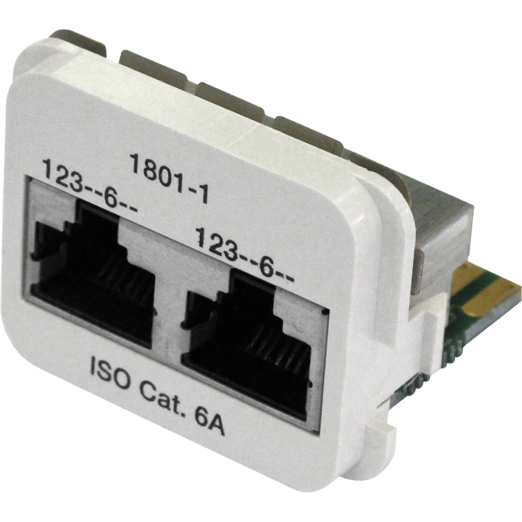 Adapte.2×RJ45 ISO Kat.6A pl-ws