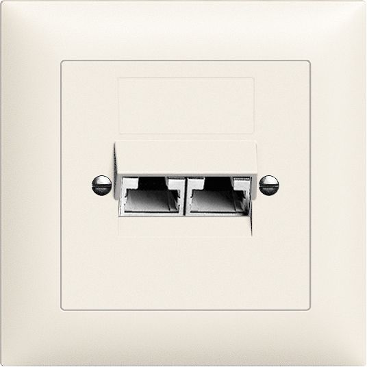 UP-Dose 2×RJ45/s 4P getr.Edue