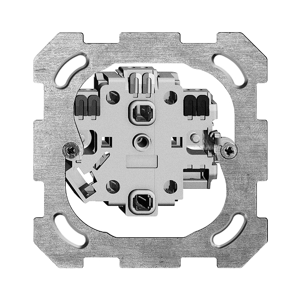 Einsatz Steckdose FH 2×T13 BSM