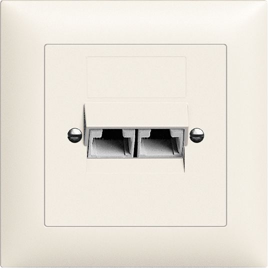 UP-Dose 2×RJ45/u 4P getr.Edue