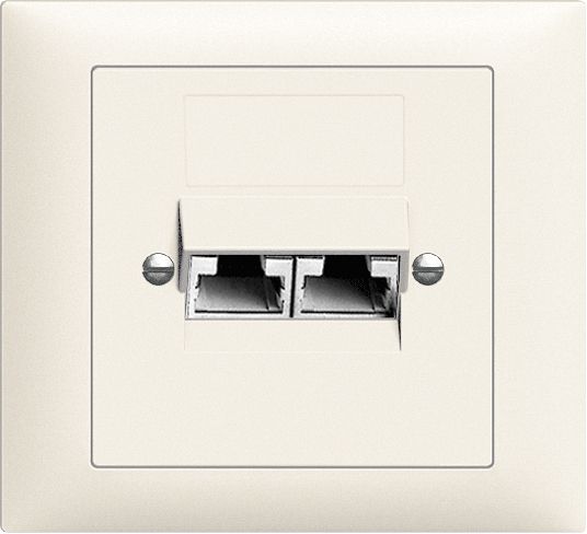 EB-Dose 2×RJ45/s 8P getr.Edue