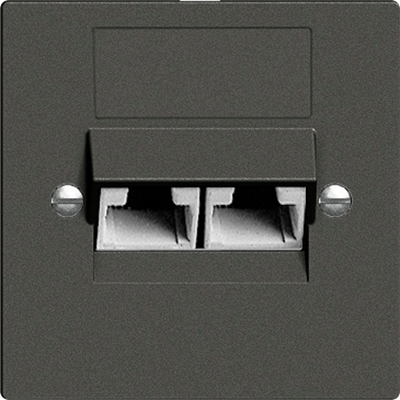 UP-Dose 2×RJ45/u 4P getr.Edue