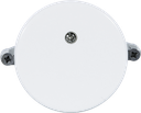 UP-Blindabdeckung BAS Ø43mm ws