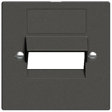 Frontplatte 2×RJ45 ITplus Edue