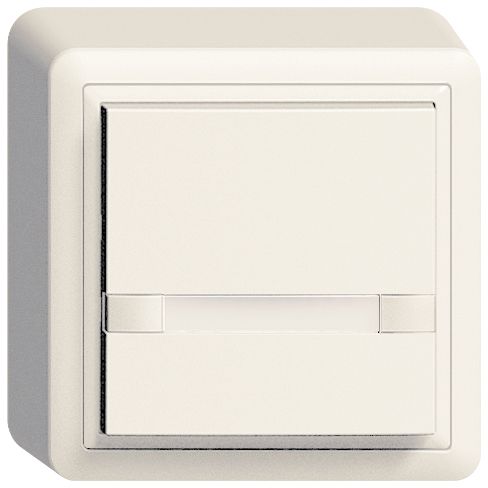 AP-Taster KNX 1-fach Edue ws