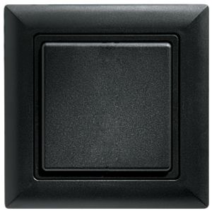 AP-RF-Taster Eltako 2/4-K.sz