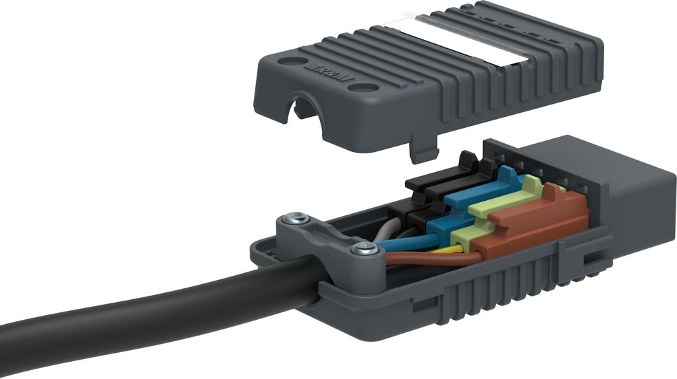 Stecker R&M Cable-Outlet DALI