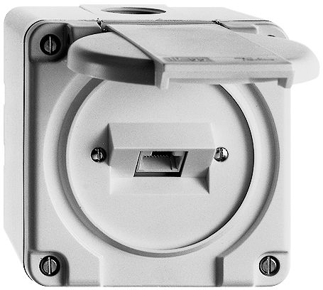 AP-Dose nass1×RJ45/u 4P ws