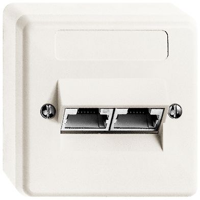 AP-Anschlussdose X 2×RJ45