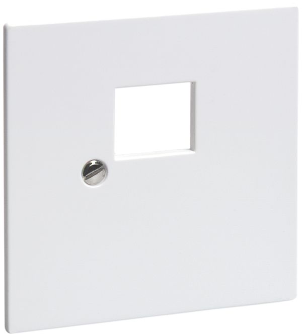 Frontplatte R&M 1RJ45 ws