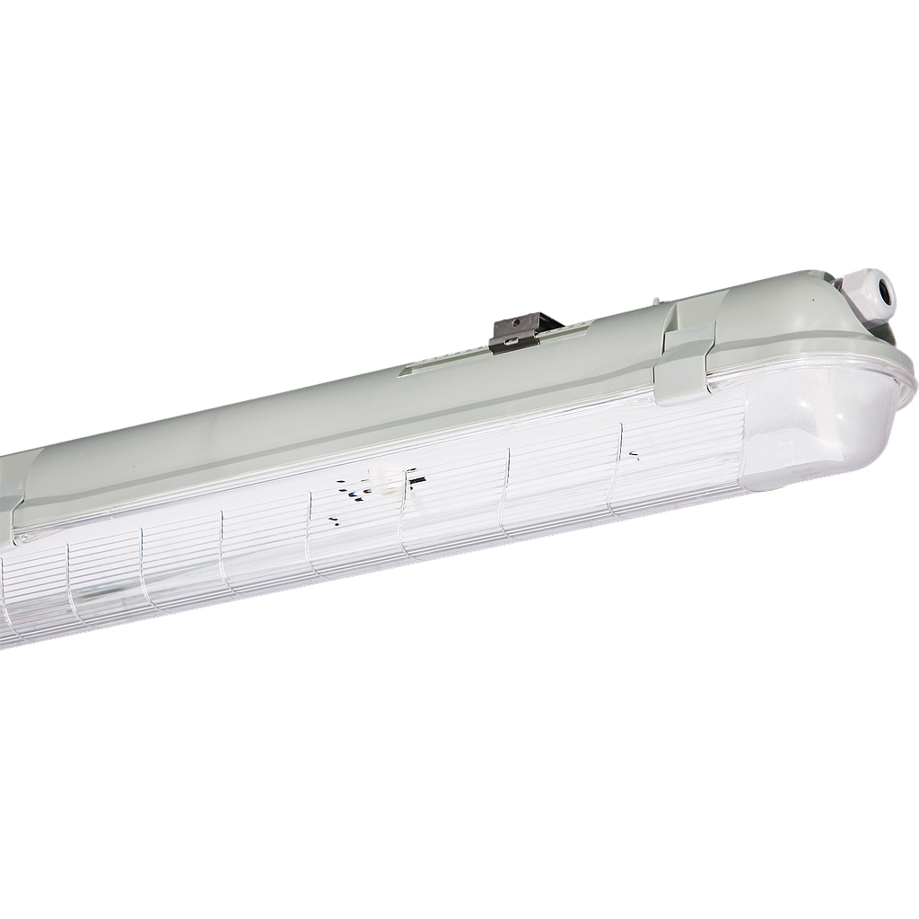 Nassraumleuchte TCW060 TL-D
