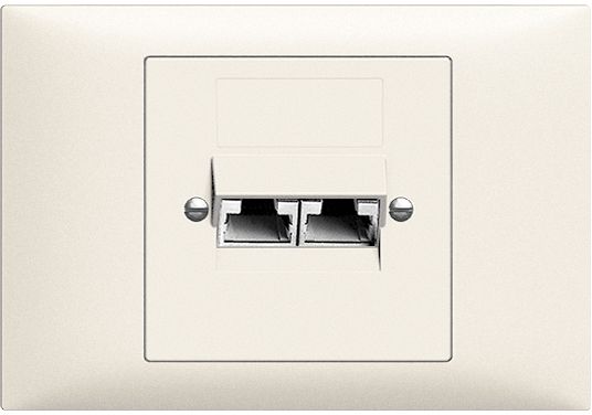 EB-Dose 2×RJ45/s 8P getr.Edue