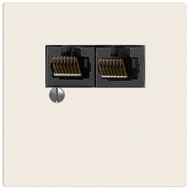Dose 2×RJ45/u 4P getr.Edue ws