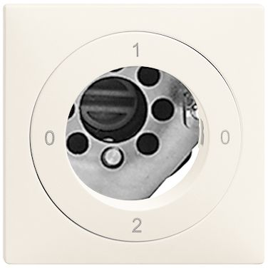 UP-Drehschalter Edue 2/1P ws,