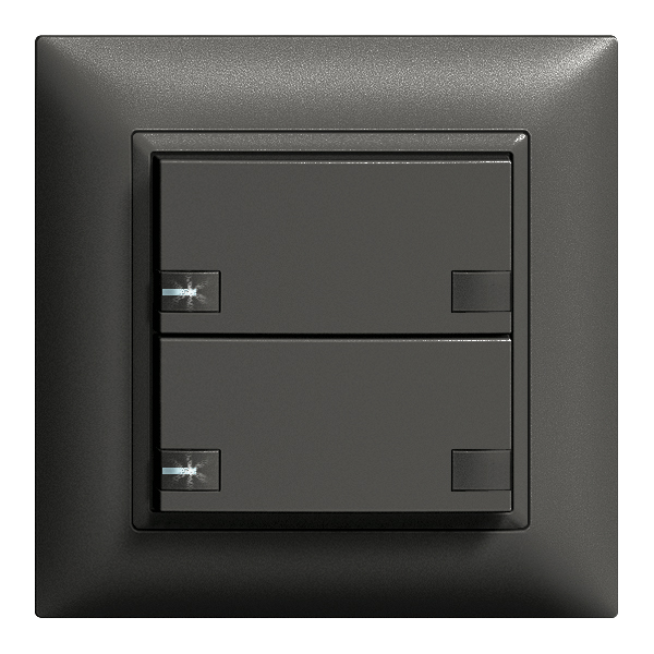 UP-Taster KNX 2-fach Edue sz
