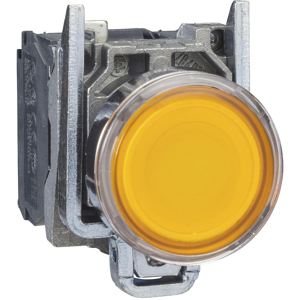 AP-Leuchtdrucktaster rt 24V