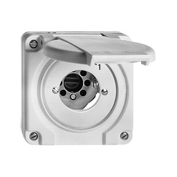 [246706200] NAP CO-Schwenktaster FH 16A 1L