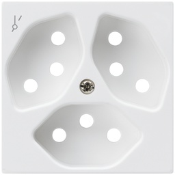 [378323003] Frontplatte KAL 3×T13/1