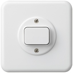 [326600003] UP-Schalter BAS 6/1L ws