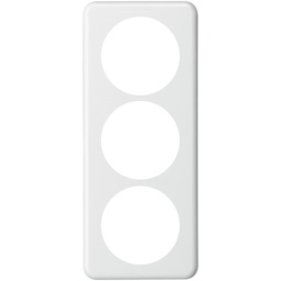 [374329303] Abdeckplatte 3×1 3×58mm ws