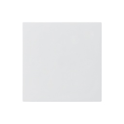 [378414003] Frontplatte KAL f.Blindabd.ws