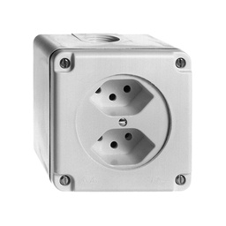 [613004340] AP-Steckdose FH 2×T13 NAPU hgu