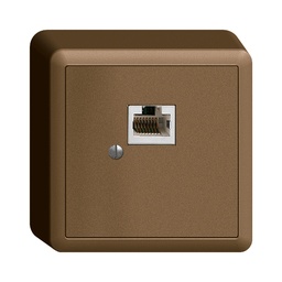 [877004890] AP-Dose 1×RJ45/s 8P Edue cof