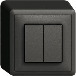 [760122950] AP-Taster Edue 2×A-R/1P sz
