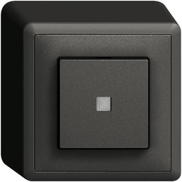 [760324950] AP-Taster Edue LED gb ARK sz